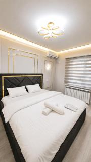 Turkistan Apart Hotel, close to Karavan Saray - 5