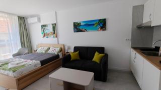Olive Sea and City Luxury studio 2 plus 2 - 0