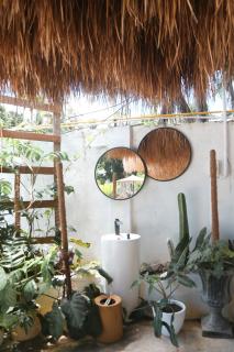 bassa resort - 5