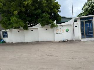 Piyo - 5