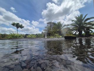 Liverpool & Spa - 4
