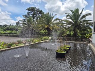Liverpool & Spa - 5