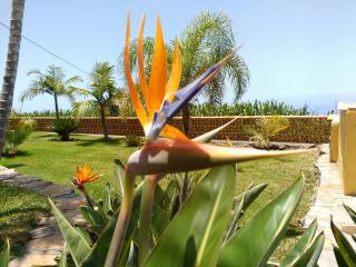 Los Padres A - 2