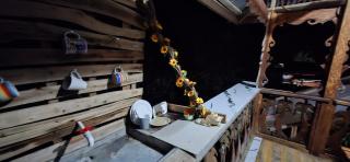 Turtle forest Cabine - 4