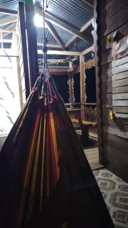 Turtle forest Cabine - 1