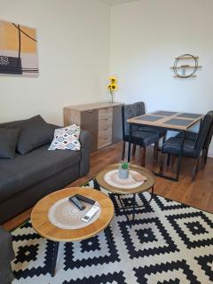Comfort 2 Bedroom Flat in Heart of Belgrade - 3