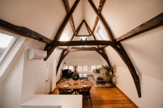 Luxury loft in the old city center of Antwerp - 3