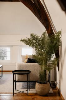 Luxury loft in the old city center of Antwerp - 2