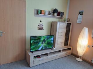 Ferienwohnung Zschorlau/Erzgebirge 03771 479123 - 5