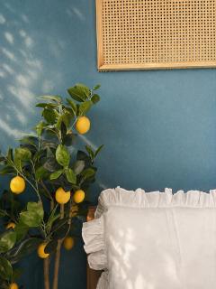 Aura House - 3