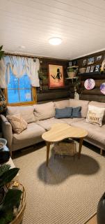 Levi cabin - really peaceful and quiet area - 5