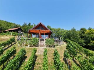 Hiška oddiha - Rest house - 9