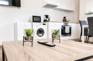 Westbahnhof Kingbed 1BR Apt with ensuite washer - 3