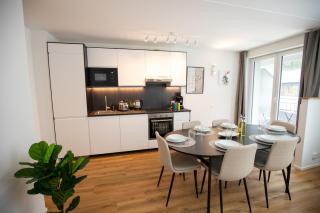 Bright Newly Renovated Apartment with Balcony - Special WHITE RABBIT 11 Apartment, Basel, up to 6 guests - Basel - 1