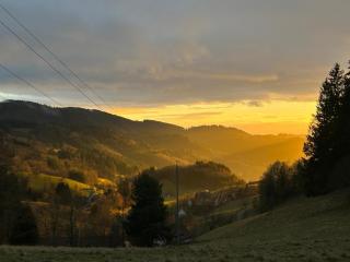 Fewo am Kaltenbach - 8