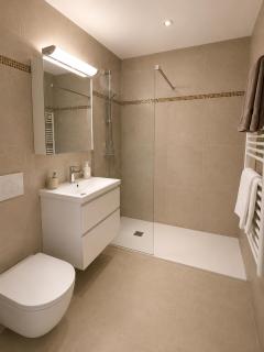 Appartement 2 pièces (55m2) , central et garage - 7