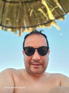Riyadh palms - 2