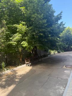 Sunny Arcadia - 6