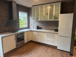 Nice cabin with Bråstei Lake with boat - 4