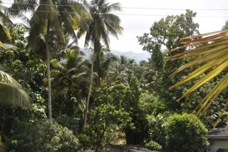 Glenfield Villa Sinharaja - 4