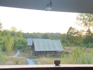 Tiny ou Petite maison sur roulettes - 7