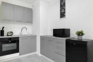 Eleganckie i Stylowe Studio z Balkonem w Sosnowcu by Noclegi Renters - 7