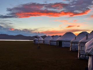 Milky Way Yurt Camp - 6