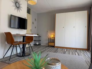 Texelheerlijk 10 - De Koog - 0