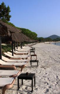 Hôtel & Lodges Moby Dick - Porto-Vecchio - 5