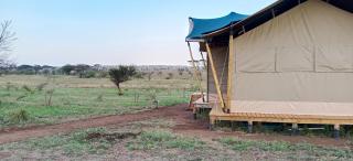 Taste Of Serengeti Luxury Safari Camp - 4