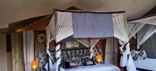 Taste Of Serengeti Luxury Safari Camp - 9