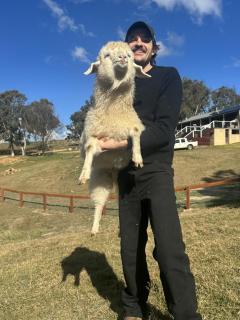 Mountain View Farm - 3