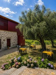 Quinta de Chousas - Braga - Agroturismo - 8