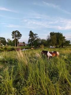 Countryside Glamping by Horse Meadows & Sea only 4 km - 2
