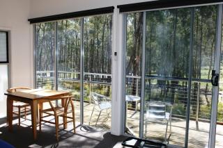 Craggy Peaks Wilderness Cabins - Rossarden - 2