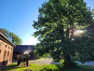 Unser Hasenstall - 4