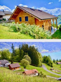 Modern SPA Chalet near Interlaken with AC, Terrace and Lake View - 3
