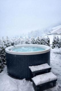 Modern SPA Chalet near Interlaken with AC, Terrace and Lake View - 9