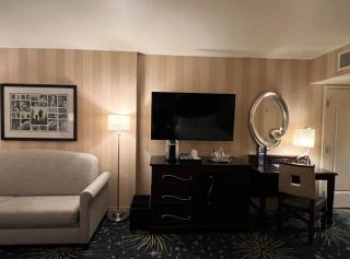 Hotel Rosewood Suites Near Delhi IGI Airport - 3