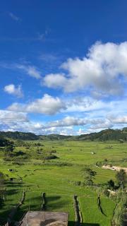 Travel Hill Homestay - 8