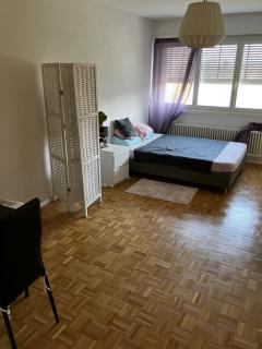 Cosy Studio in Morges - 4