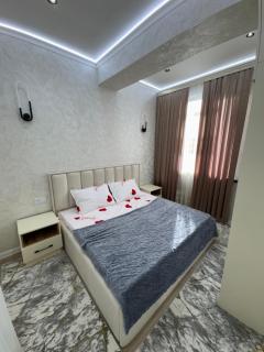 Apartment for guest - 2