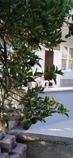 durdemir apart - 8
