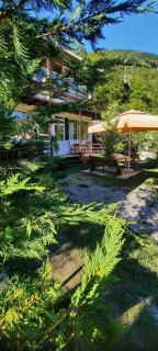 Mikel Center Theth Guesthouse - 0
