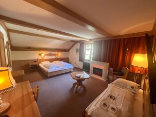 Hotel Gasthof Zum Ochsen - 6