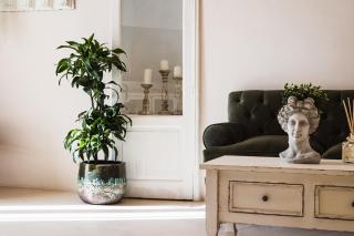 Slow life - terrace - 3 min to center - free park - 4
