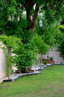 Comfortable holiday home with garden and terrace - 3