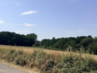 Cocon indépendant en pleine campagne du Gers - 8