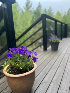 Villa Loiste Himos Chalet with Hot Tub - 7