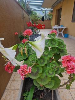 Villa Marysol - 3